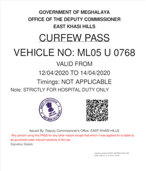 curfew pass